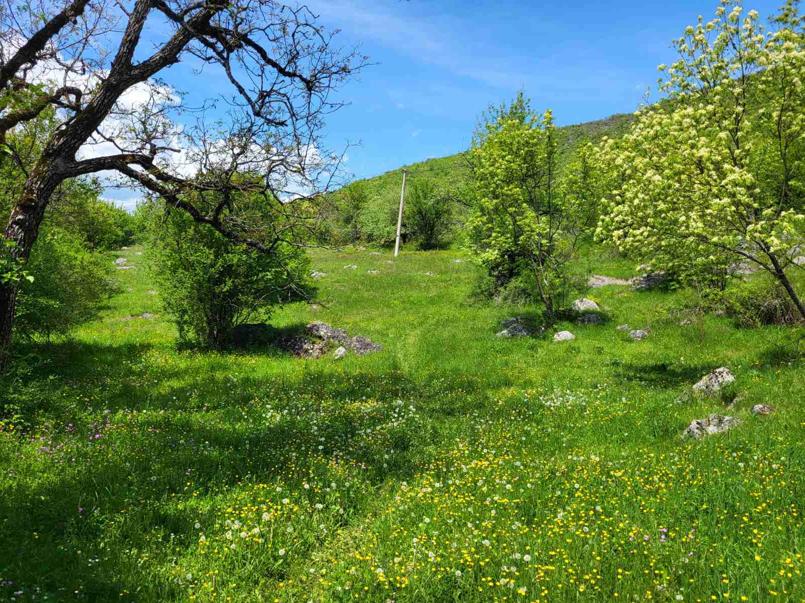 Zemljiste Brno 160000m2 - 3