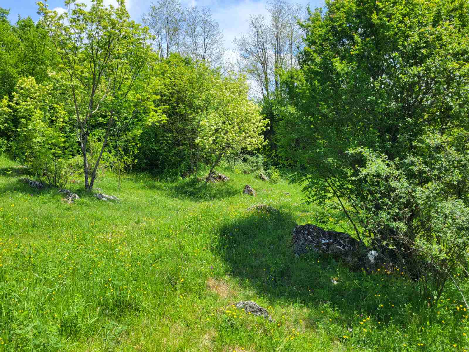 Zemljiste Brno 160000m2 - 7