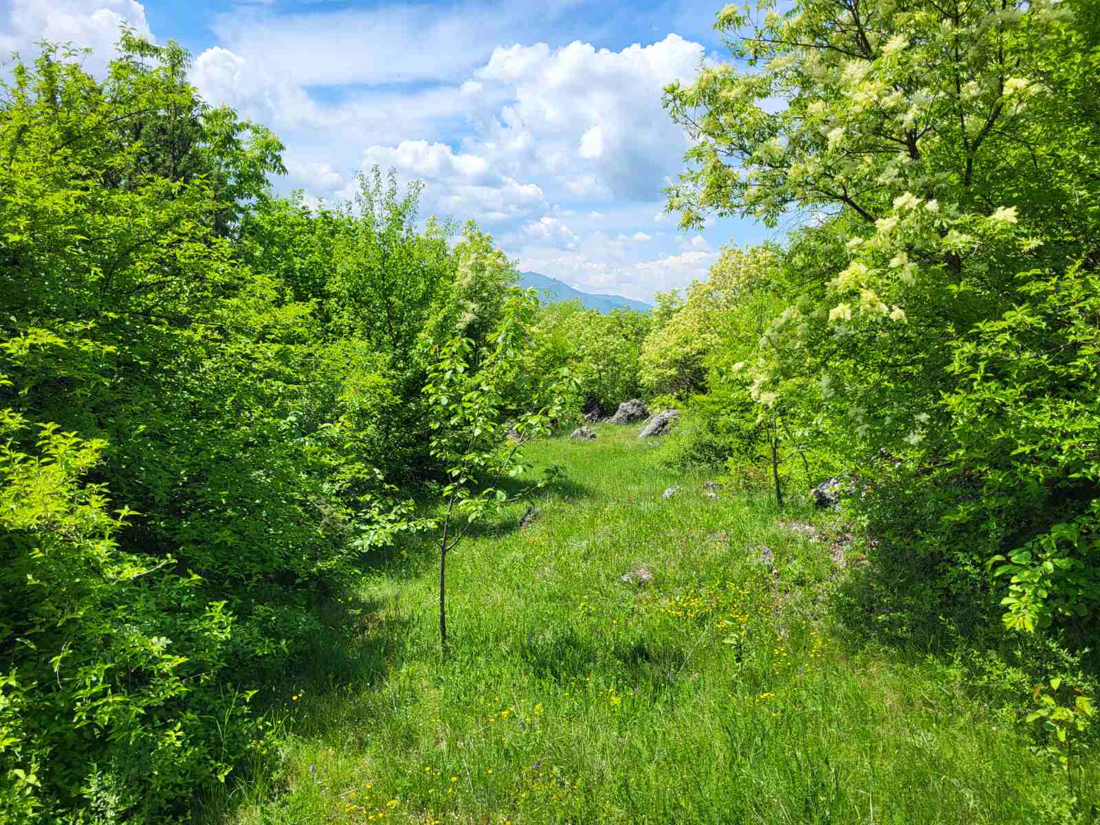 Zemljiste Brno 160000m2 - 9