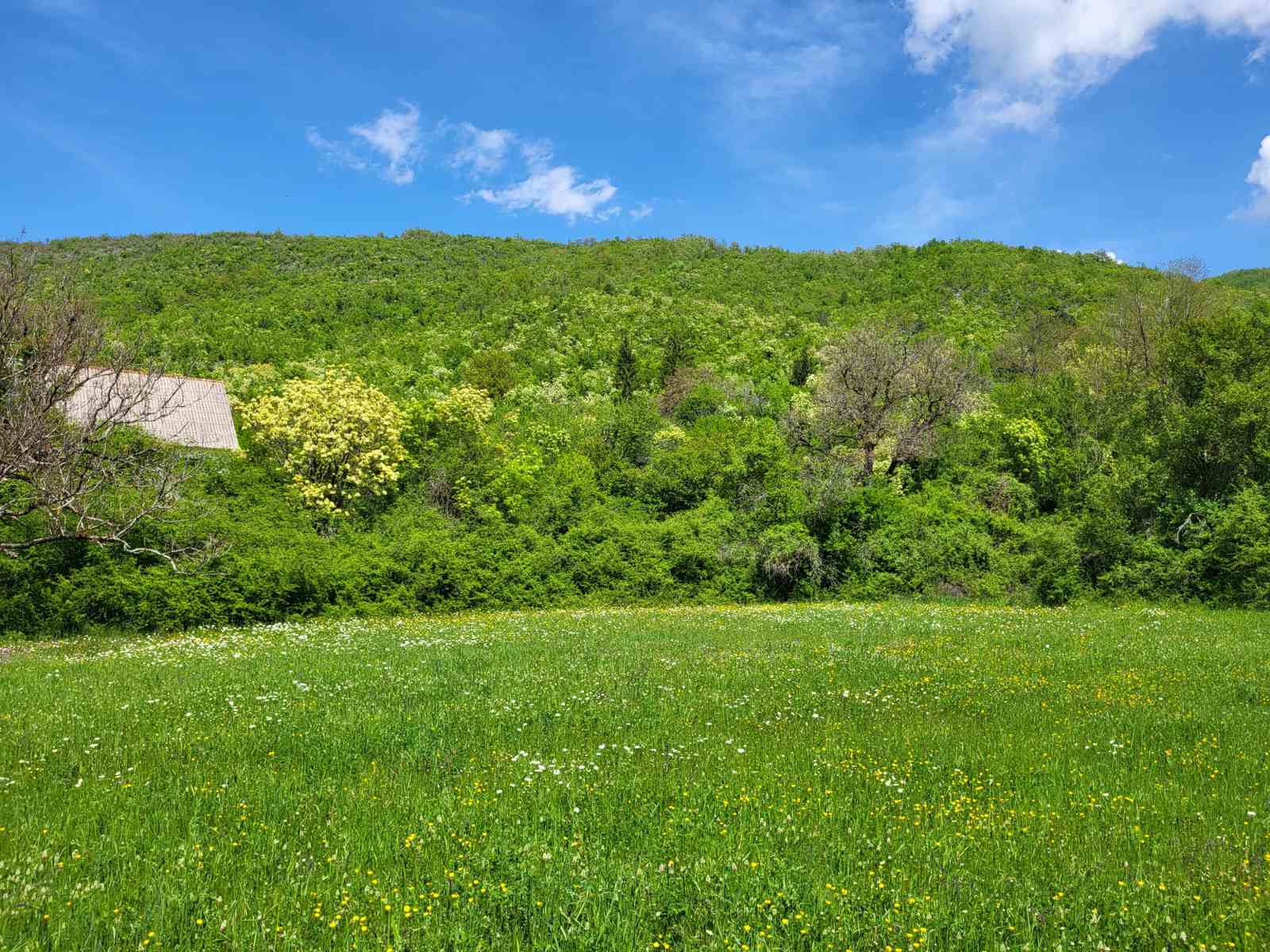 Zemljiste Brno 160000m2 - 11