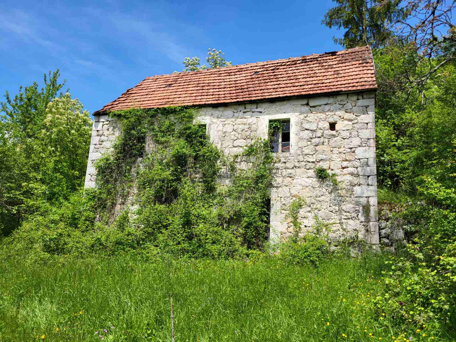 Zemljiste Brno 160000m2 - 12