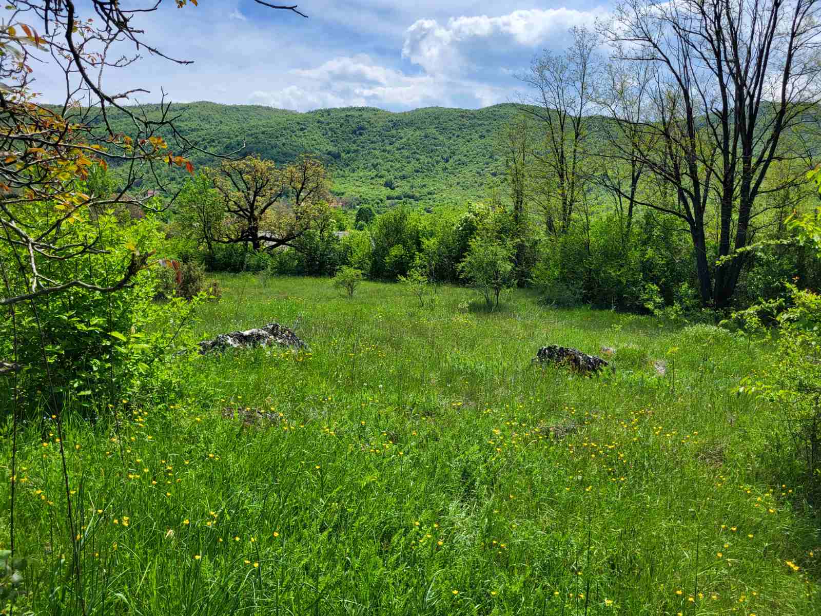 Zemljiste Brno 160000m2 - 14