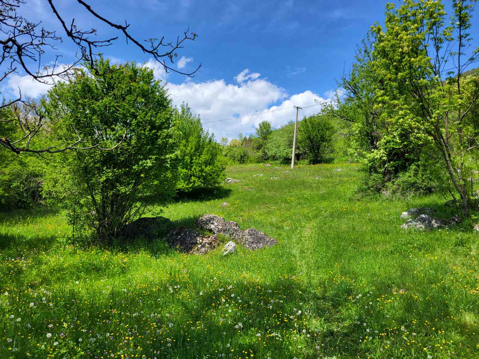 Zemljiste Brno 160000m2 - 15