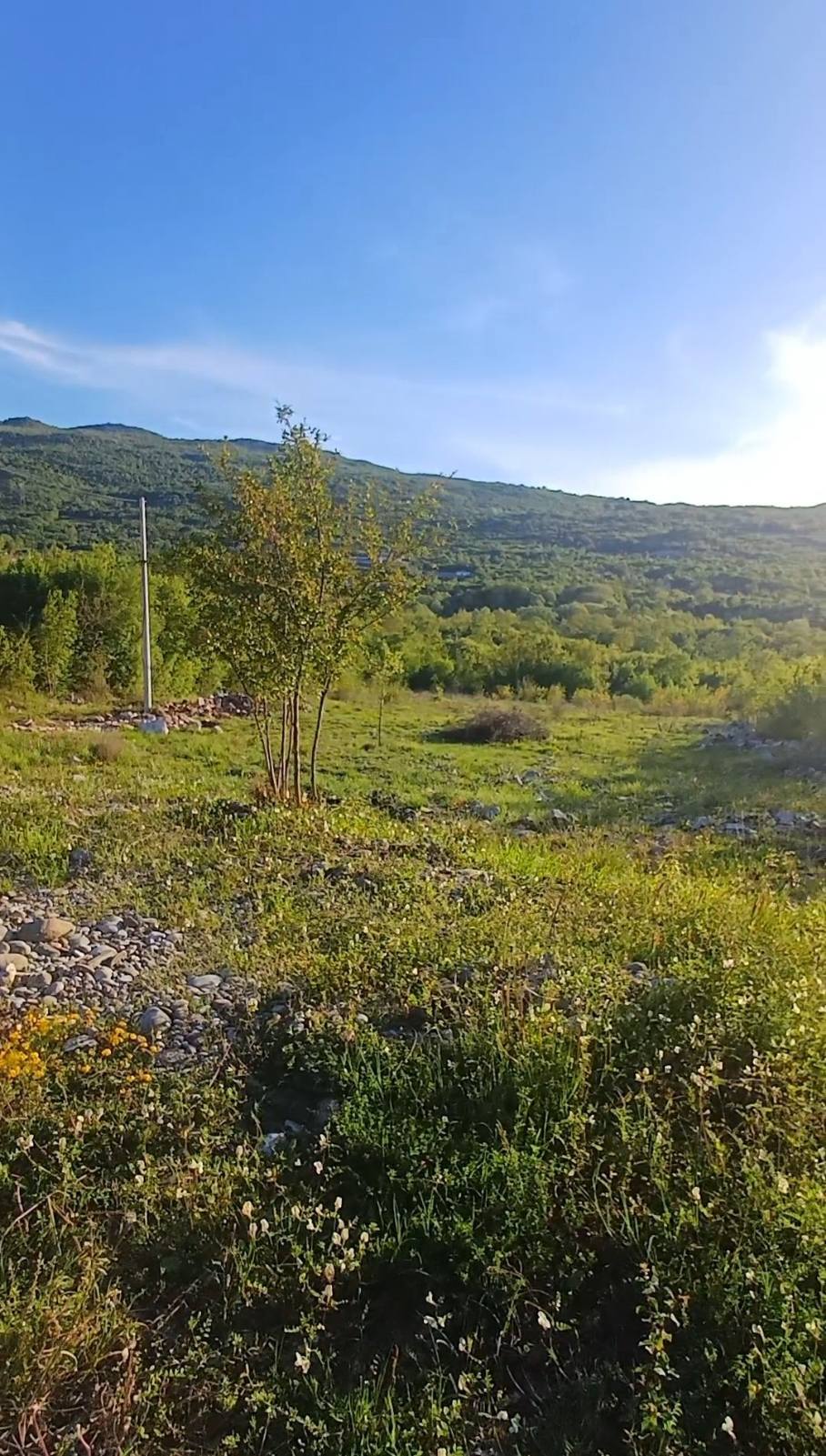 Komani'de 1017m2'lik Arazi - 2
