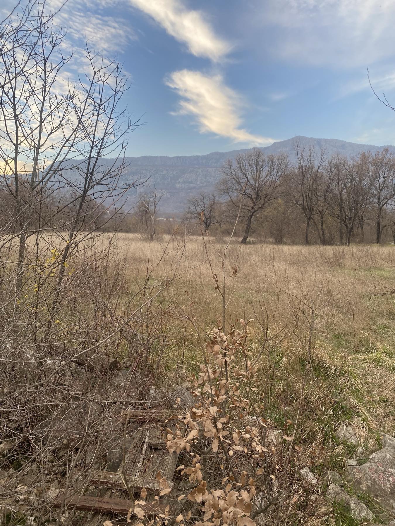 Land Piperi 8612m2 - 3