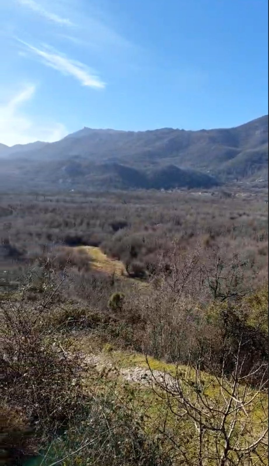 Land Cetinje 165000m2 - 2