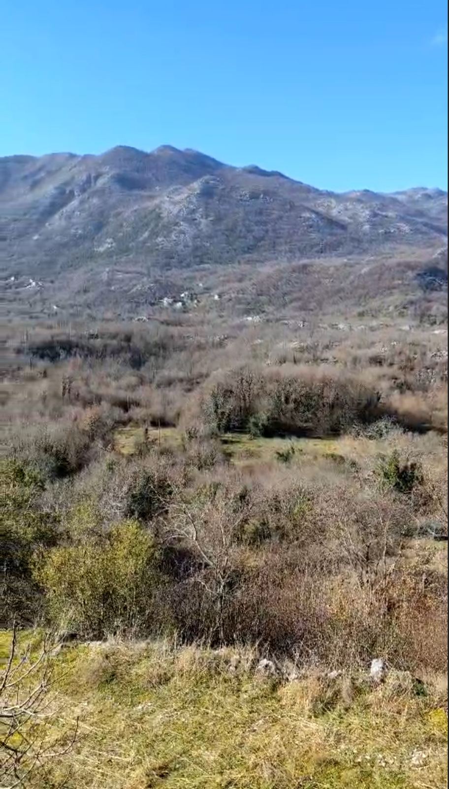 Land Cetinje 165000m2 - 3