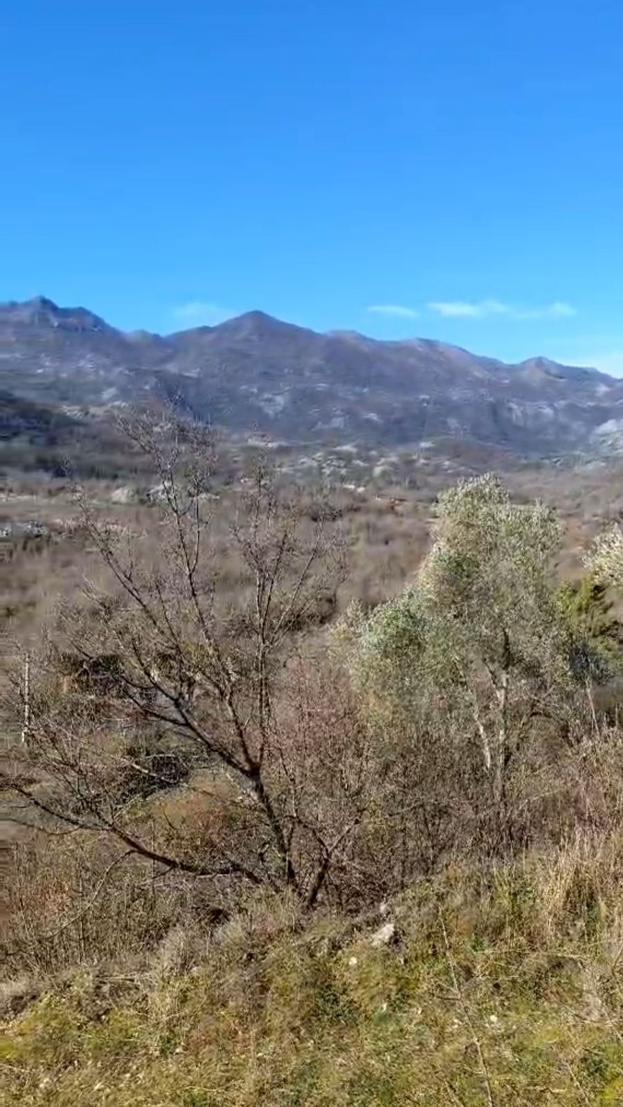 Land Cetinje 165000m2 - 4