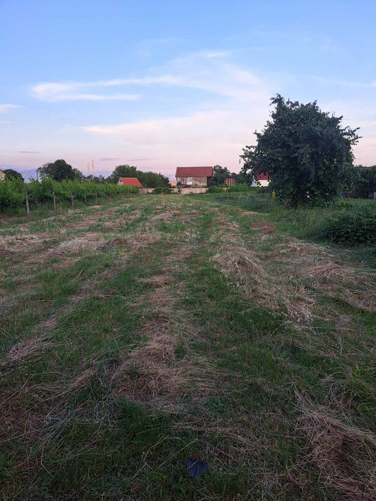 Beri'de 2300m2'lik Arazi - 2