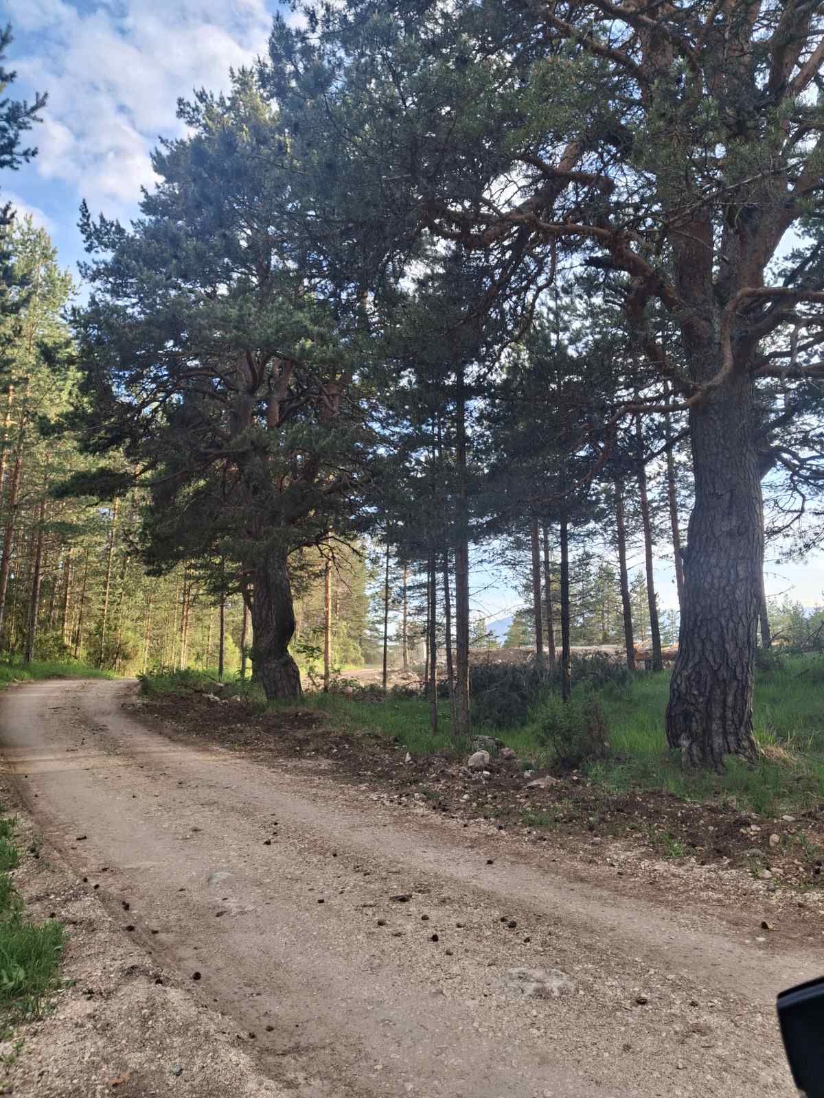 Land Zabljak 1150m2 - 11