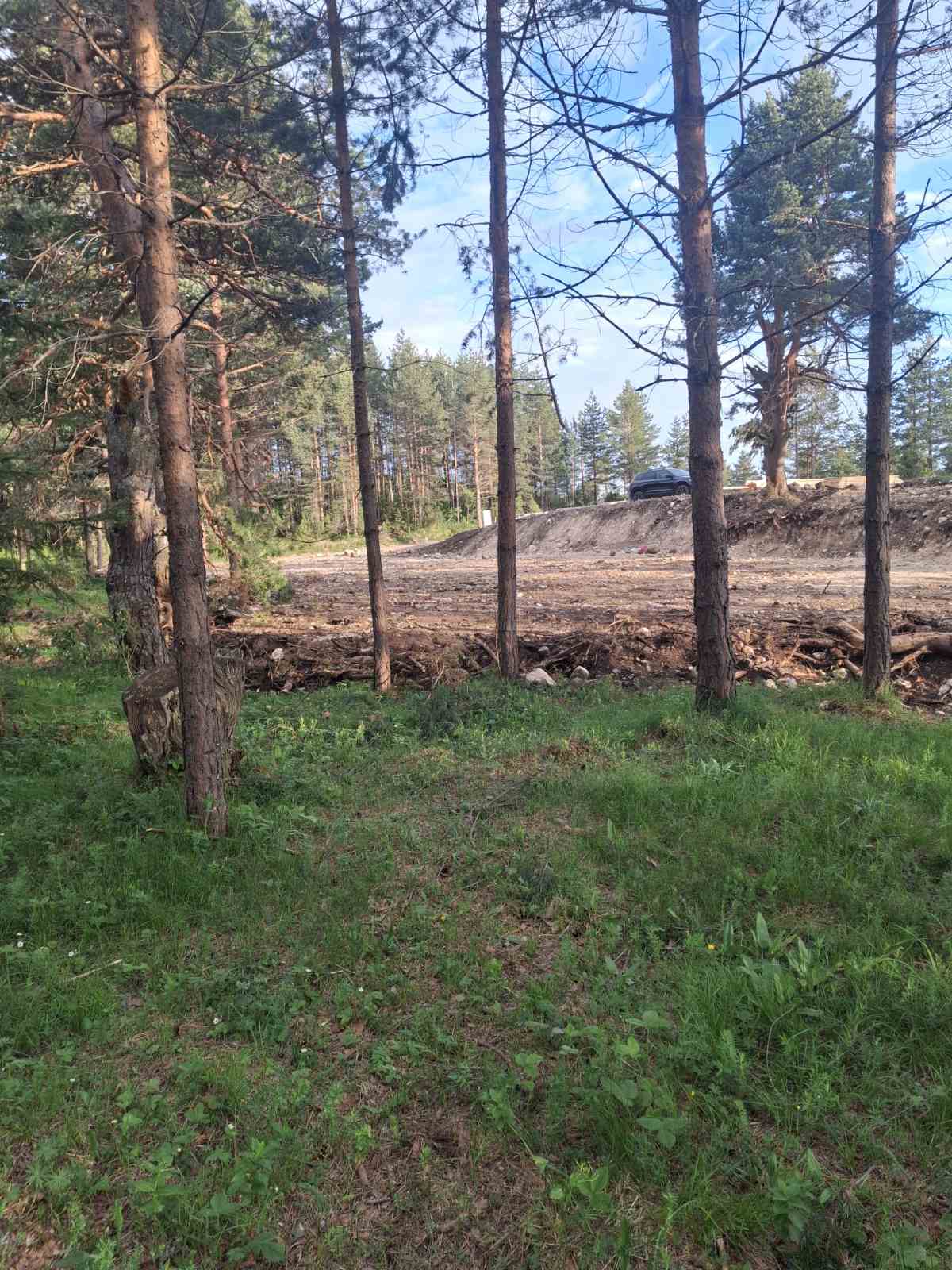 Land Zabljak 1150m2 - 6