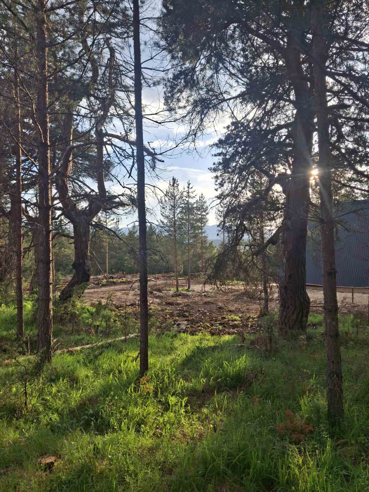 Land Zabljak 1150m2 - 7