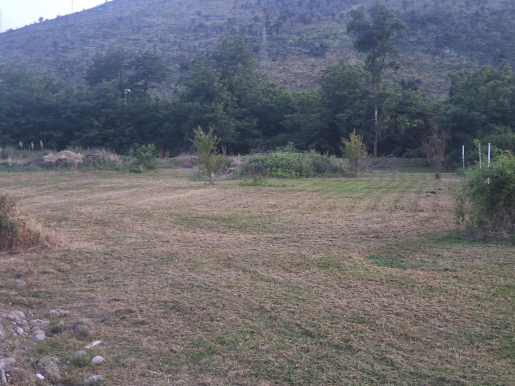 Zemljiste Tolosi 1600m2 - 2