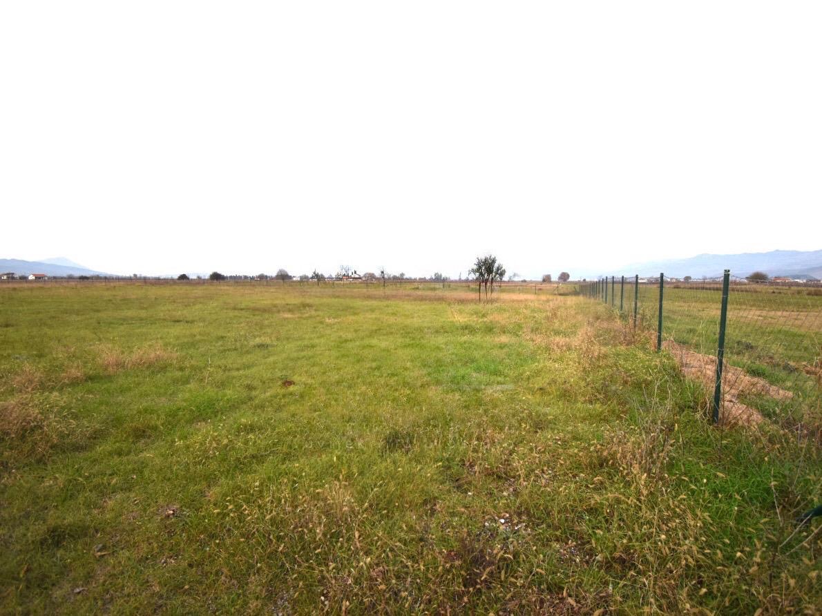 Land Zeta 2912m2 - 3