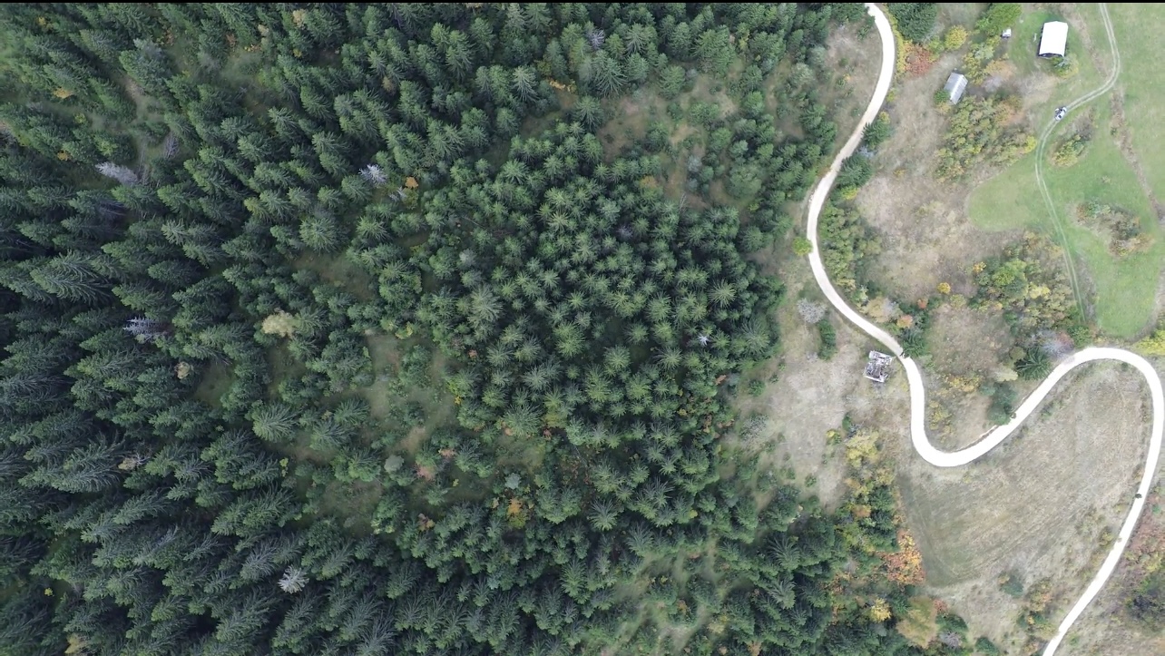 Land Pljevlija 46000m2 - 3