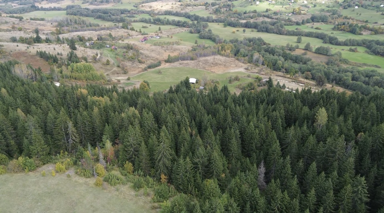 Land Pljevlija 46000m2 - 4