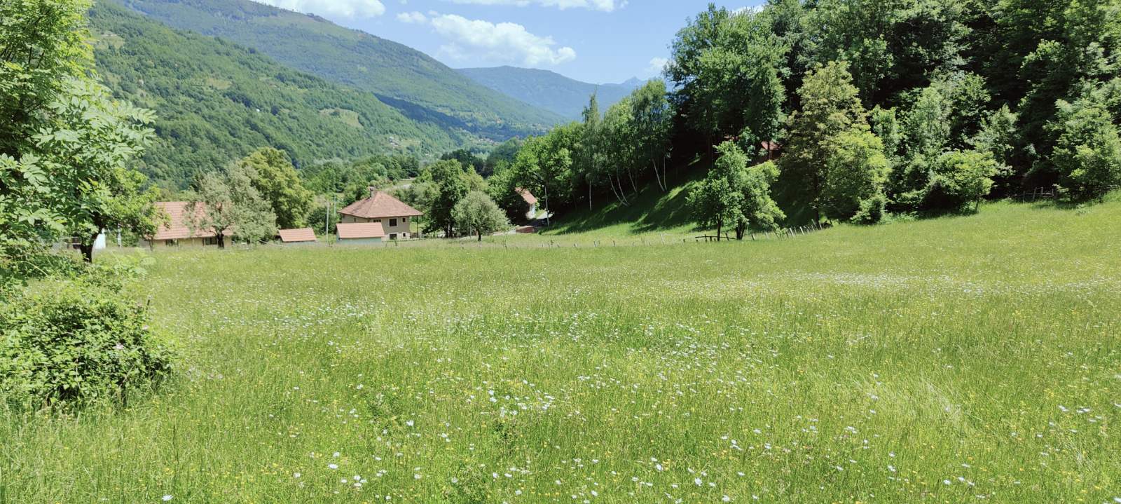 Земля Андриевица 40000м2 - 5