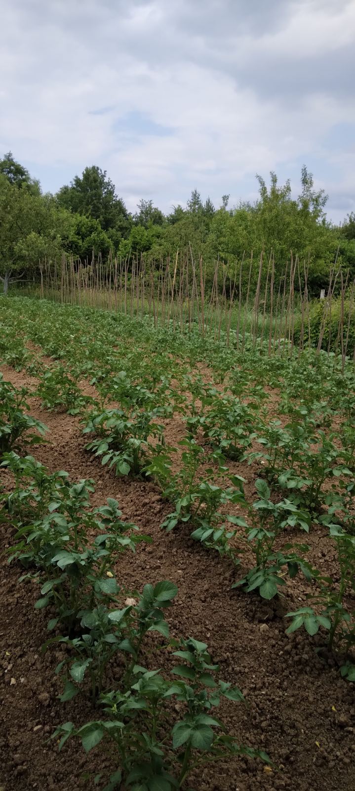Satılık Ev Pljevlija 88m2 - 6