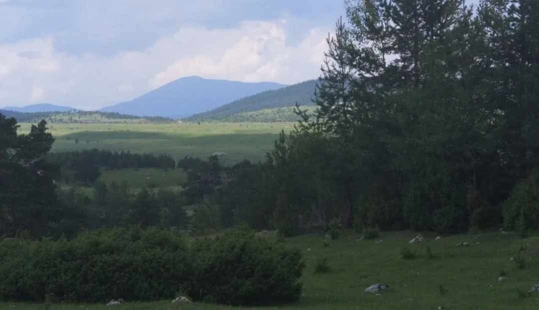 Zemljište na prodaju Borje 17000m2 - 8