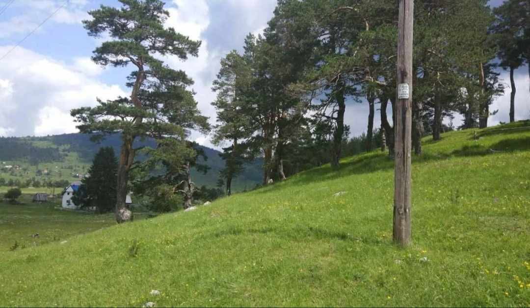 Zemljište na prodaju Borje 17000m2 - 4