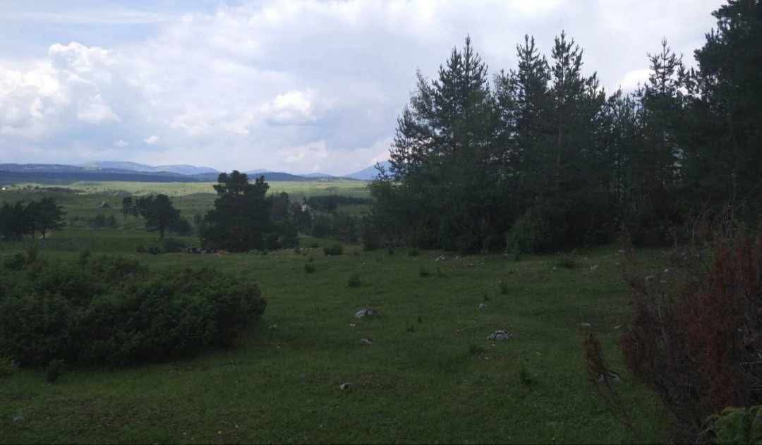 Zemljište na prodaju Borje 17000m2 - 5
