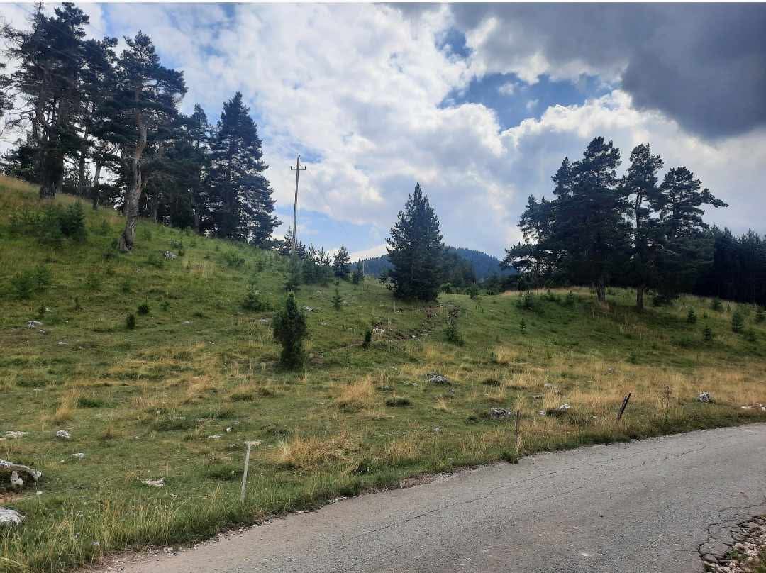 Zemljište na prodaju Borje 17000m2 - 2