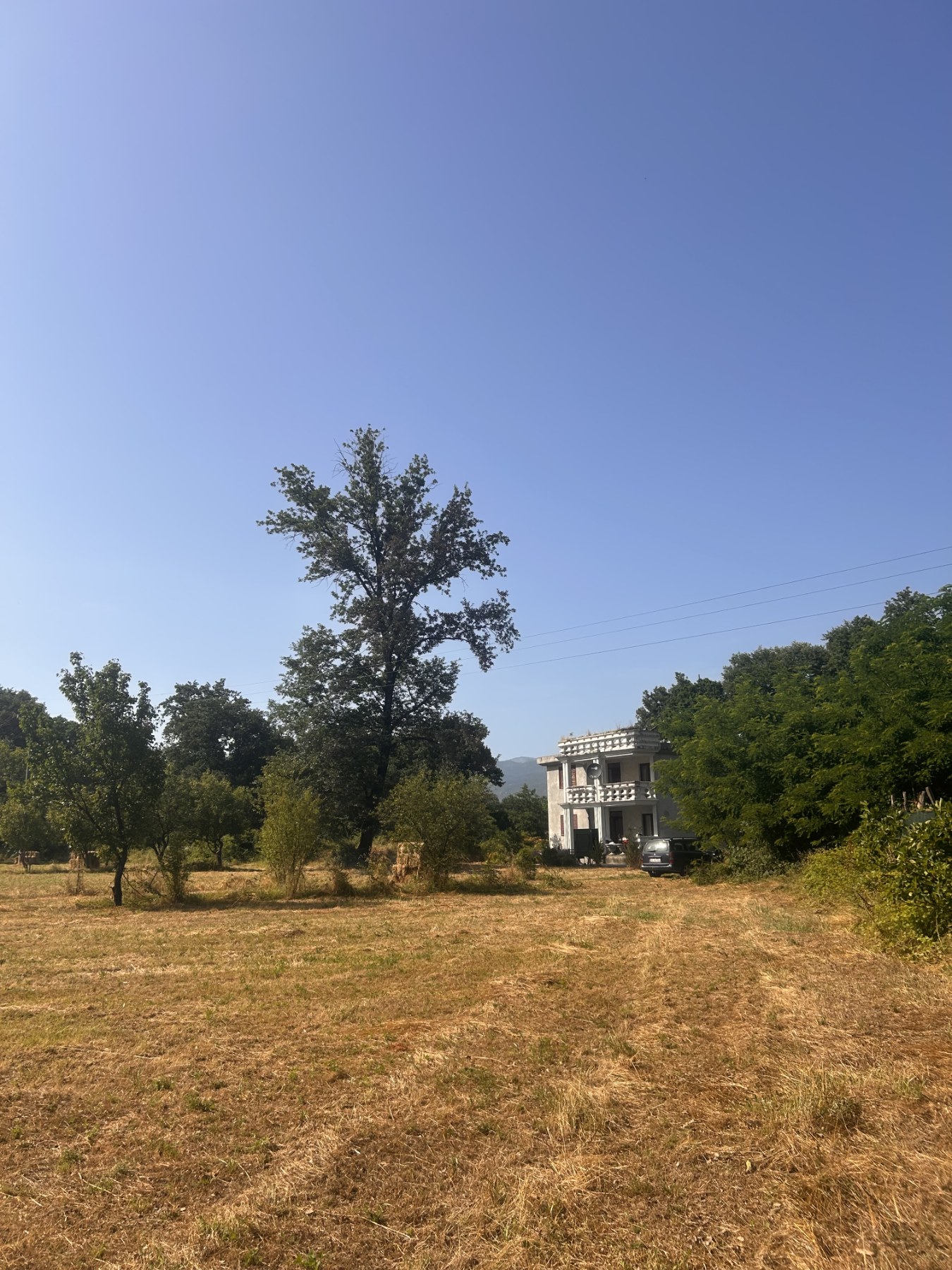 Plot with house for sale Kosic 9300m2 - 6