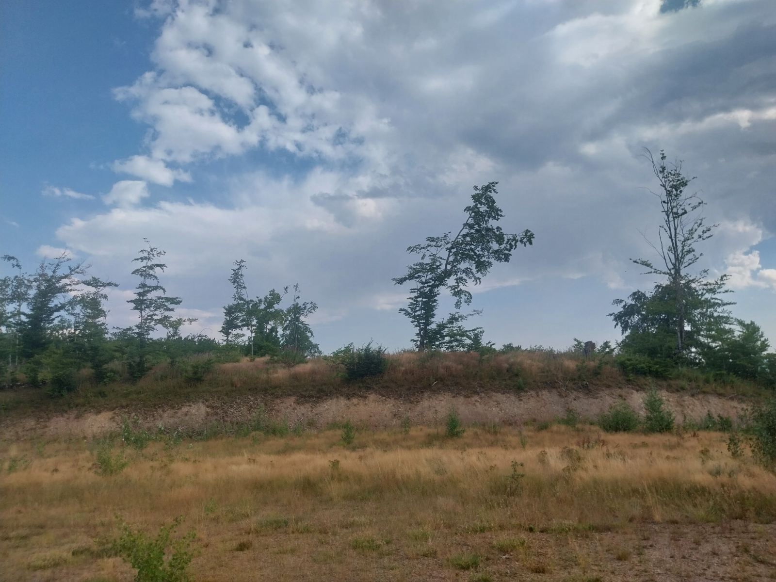 Land for sale Kolasin 603m2 - 3