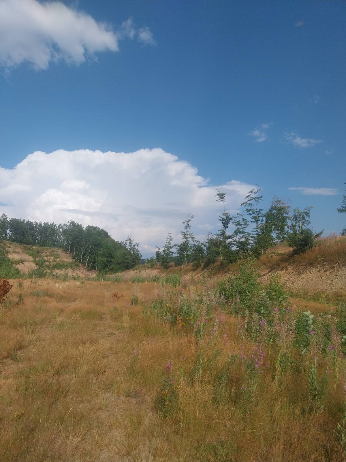 Land for sale Kolasin 603m2 - 4