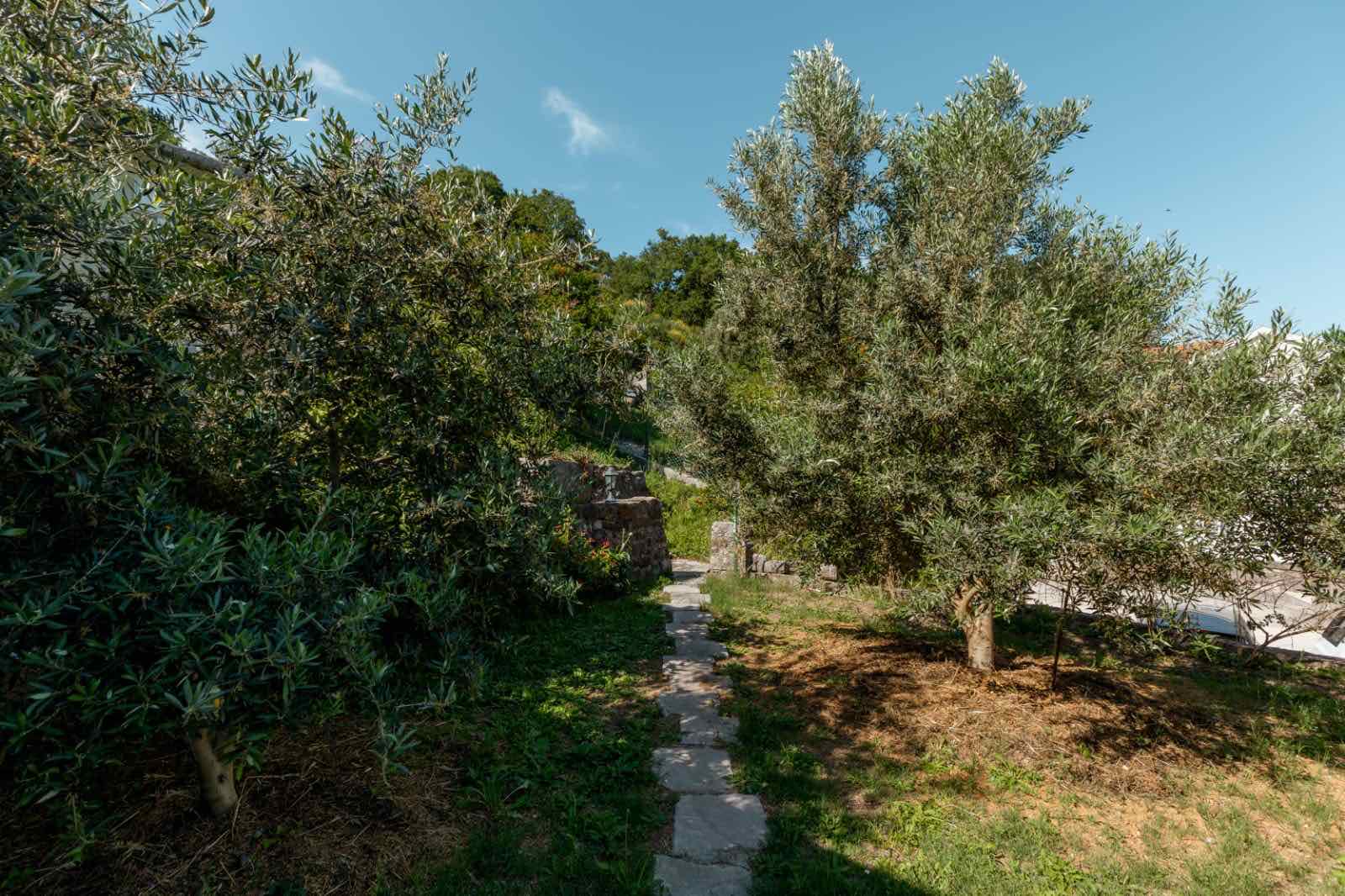 Urbanized land for sale Bijela 2122m2 - 3