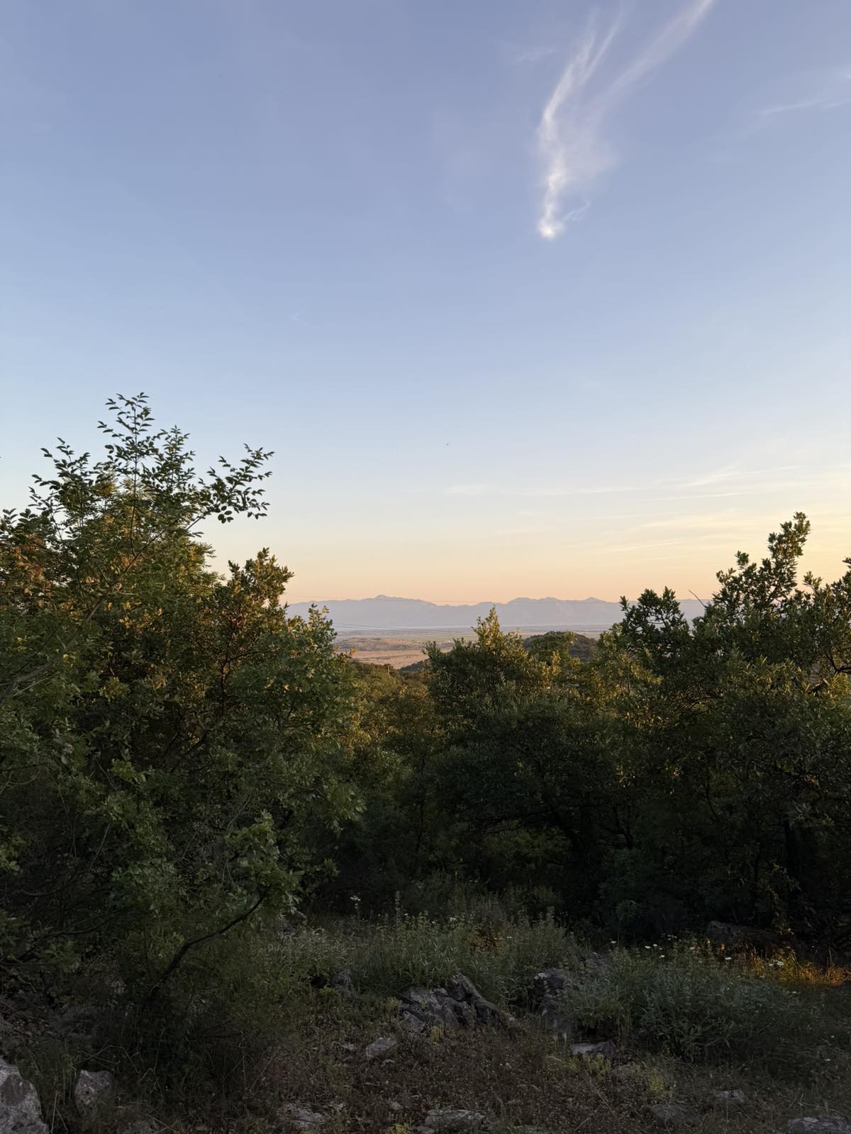 Fundina’da satılık arsa 7605m2 - 14