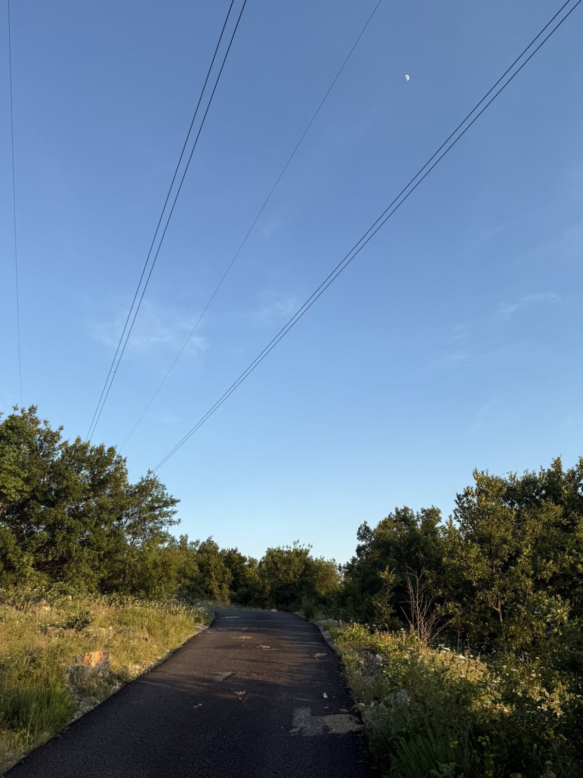 Fundina’da satılık arsa 7605m2 - 12