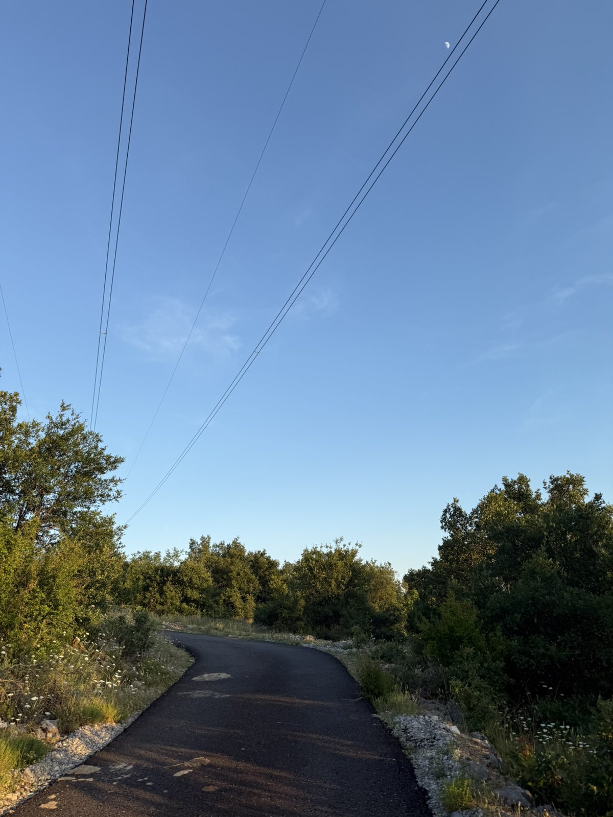 Fundina’da satılık arsa 7605m2 - 6