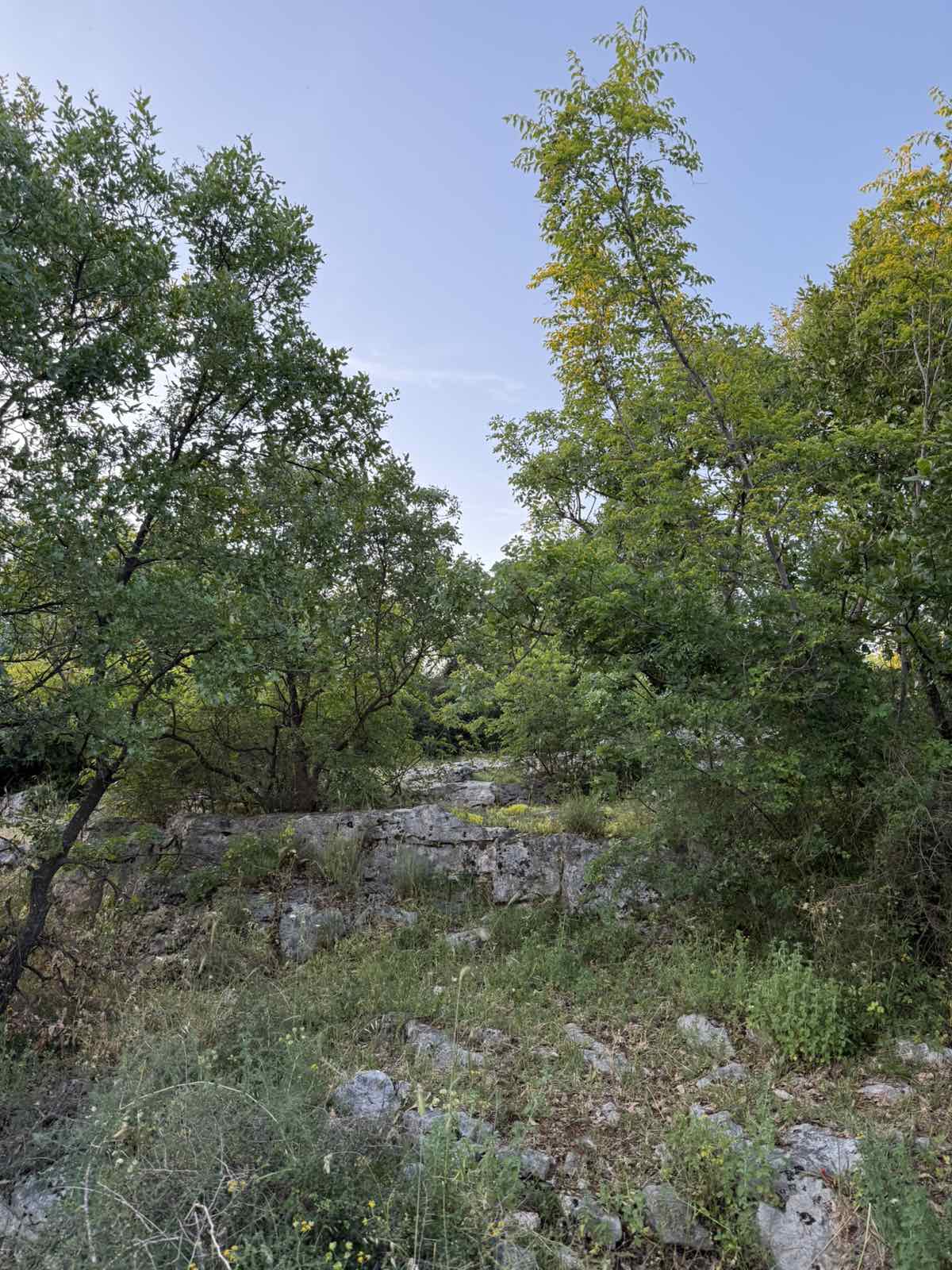 Fundina’da satılık arsa 7605m2 - 3