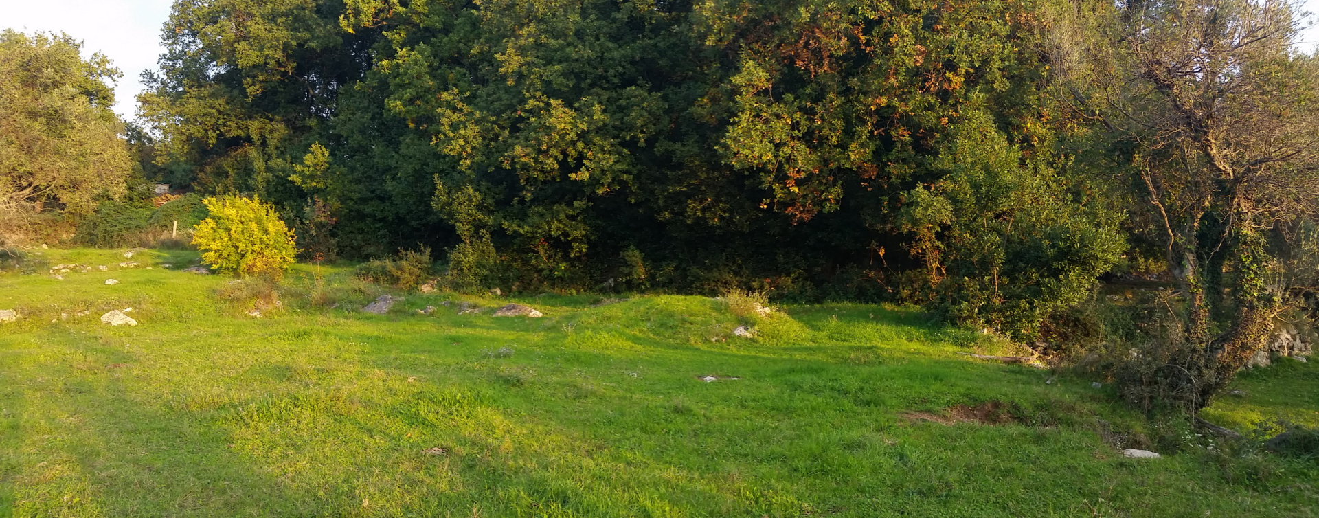 Urbanized Land for sale Podi 1530m2 - 2