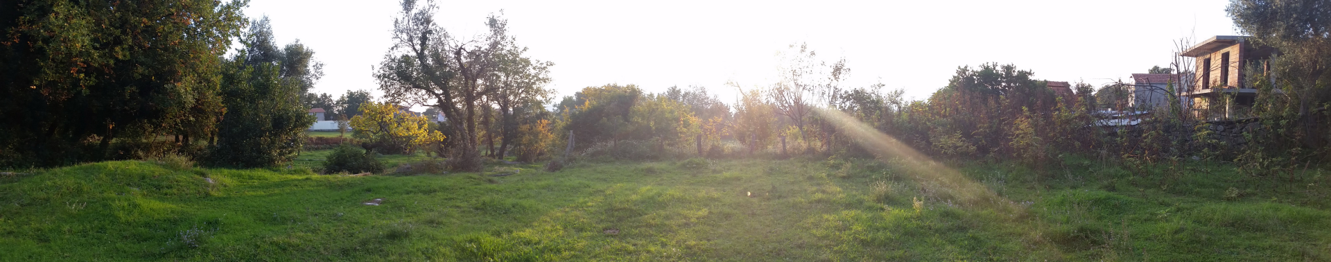 Urbanized Land for sale Podi 1530m2 - 4