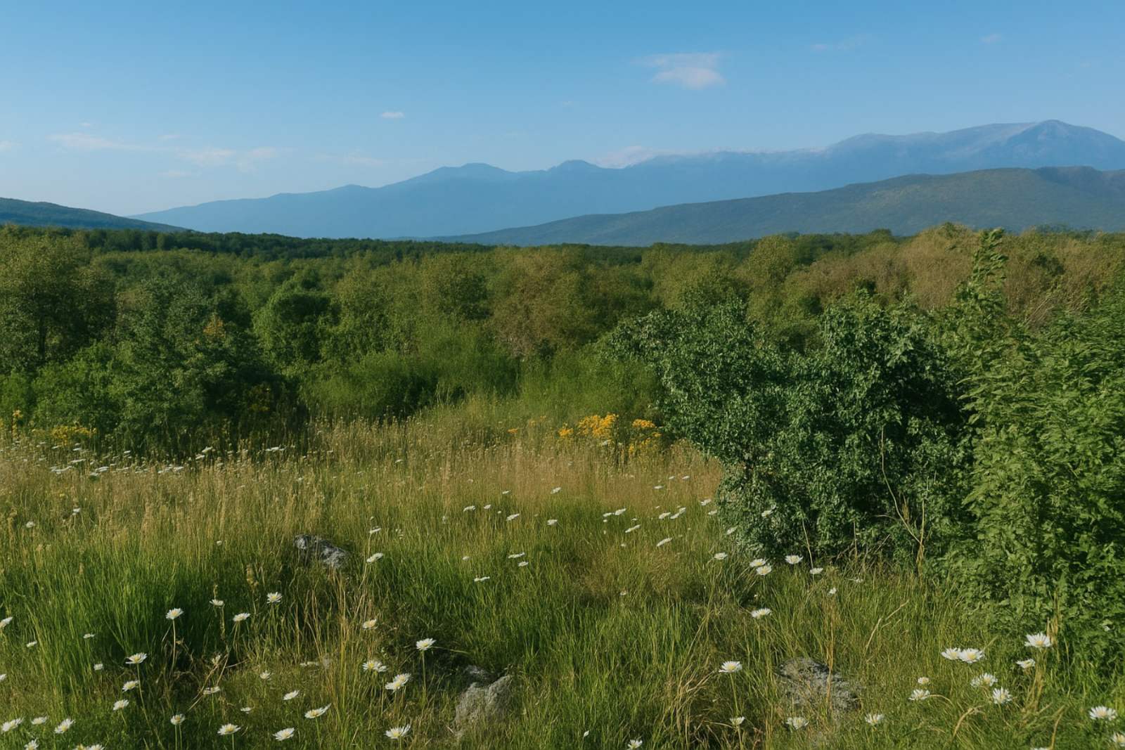 Zemljište na prodaju Podgorica 30962m2