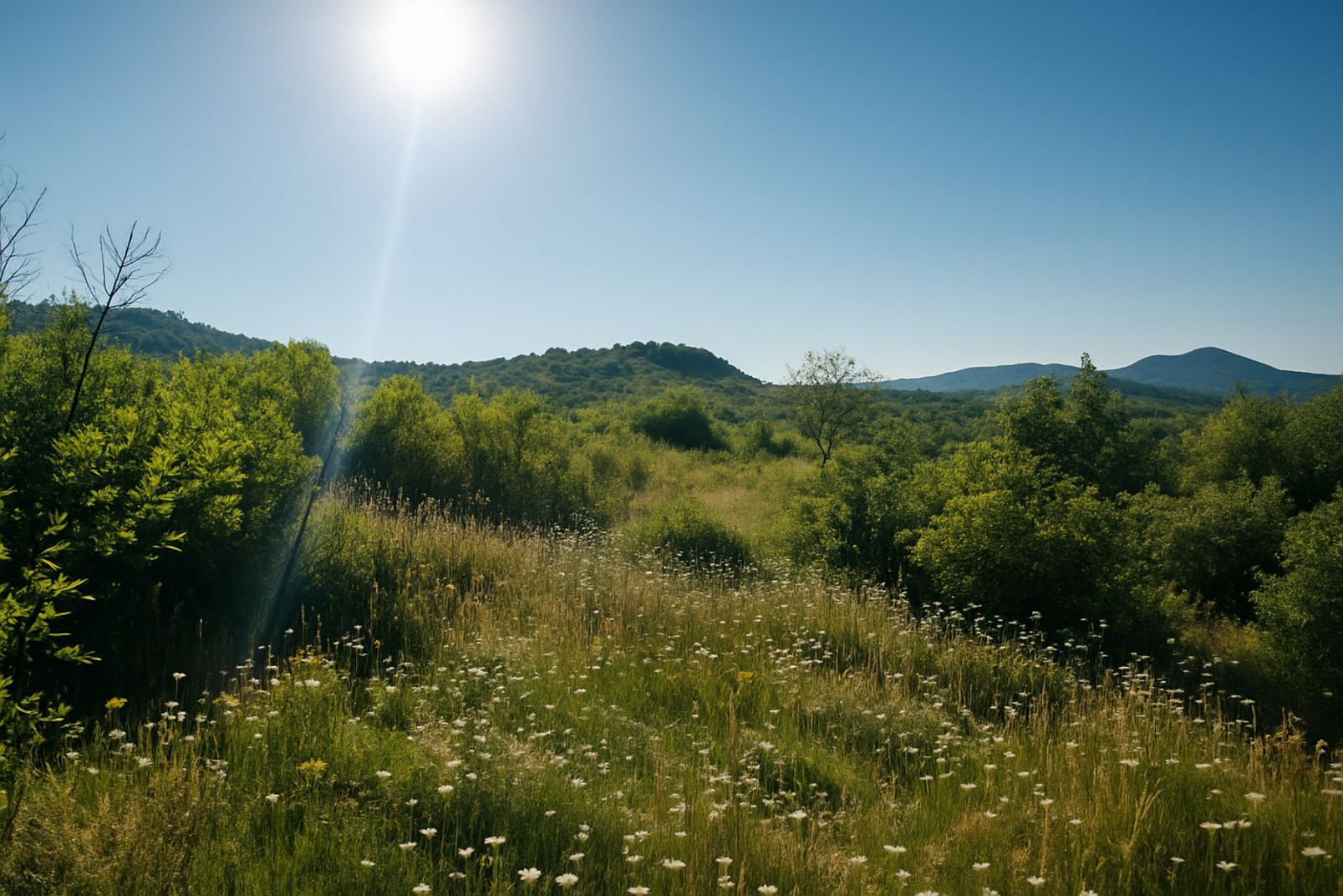 Zemljište na prodaju Podgorica 30962m2 - 3