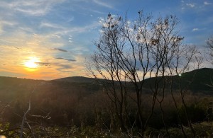 Urbanizovani plac na prodaju Višnjevo 2447m2 - 2