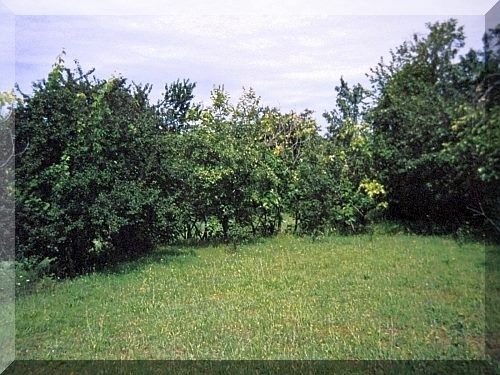 Apartment for sale Danilovgrad 52m2 - 3