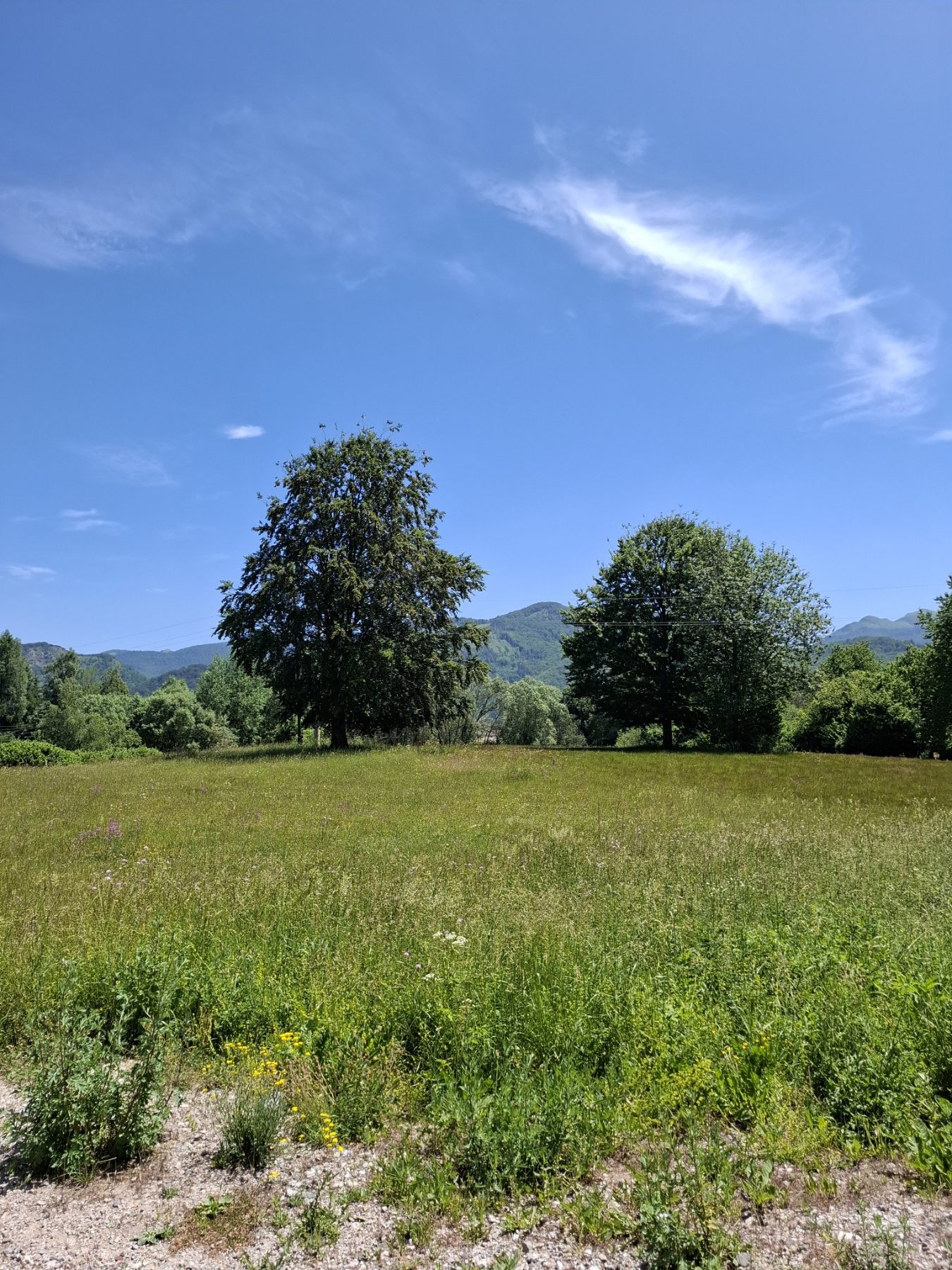 Urbanized land for sale Drijenak 500m2 - 4