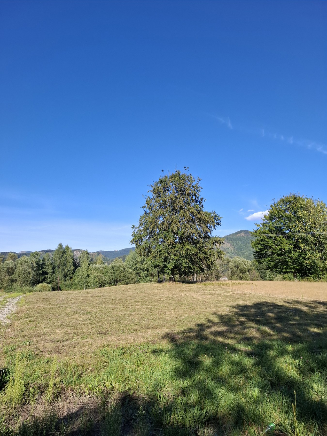 Urbanized land for sale Drijenak 500m2 - 2