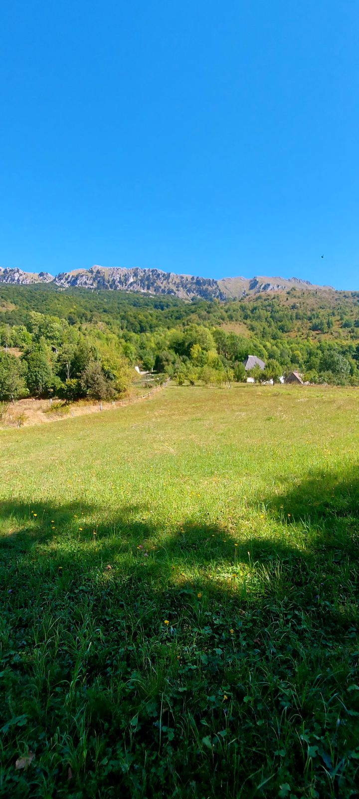 Satılık Arsa Gornje Lipovo 9000m2 - 4