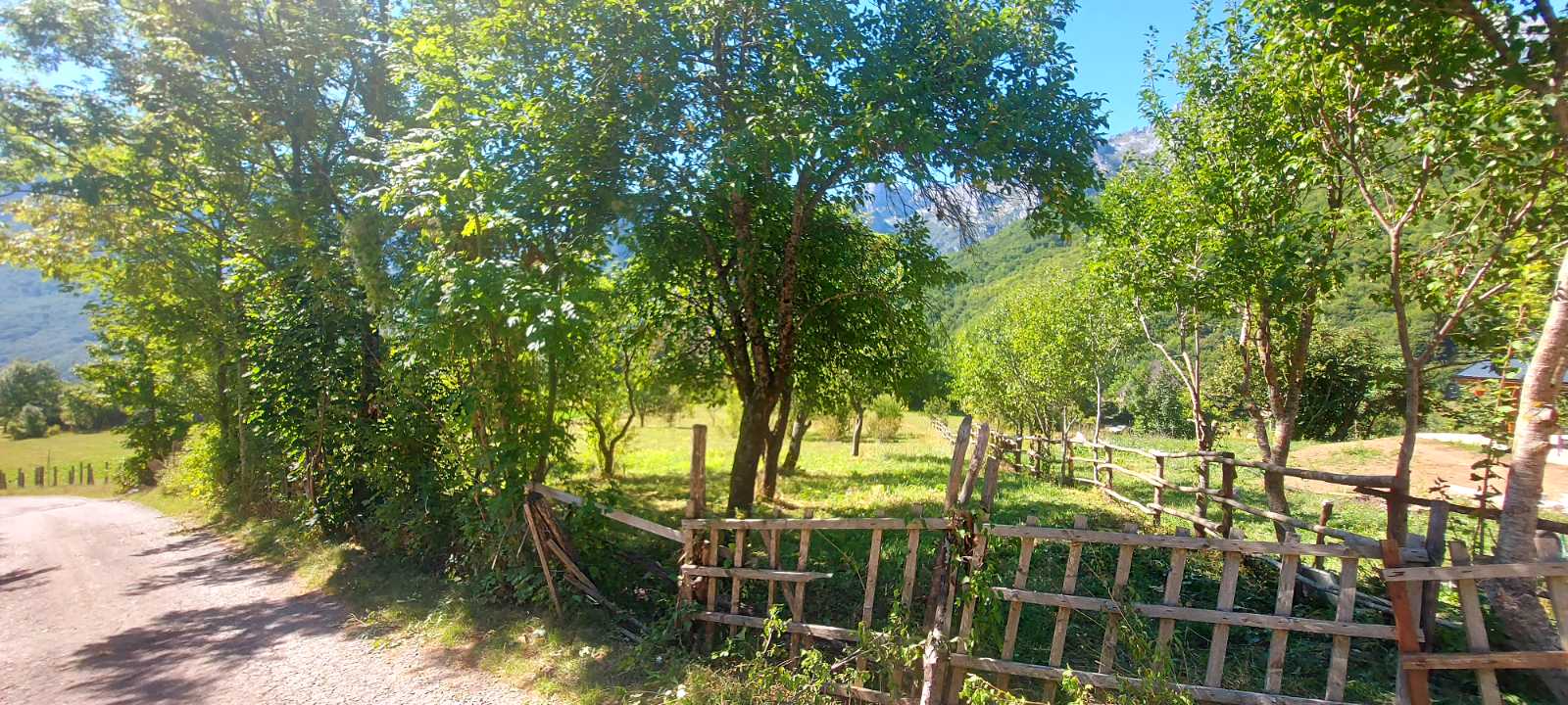 Satılık Arsa Gornje Lipovo 9000m2 - 5