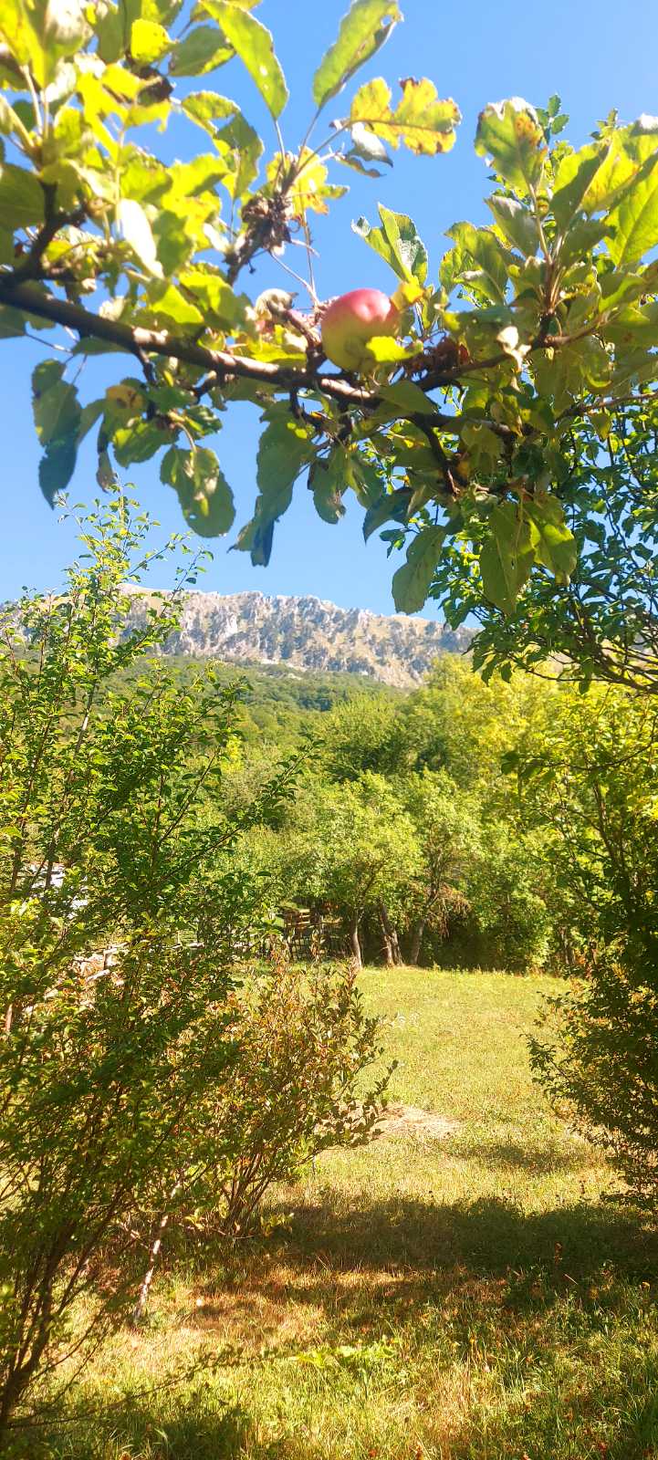 Satılık Arsa Gornje Lipovo 9000m2 - 3