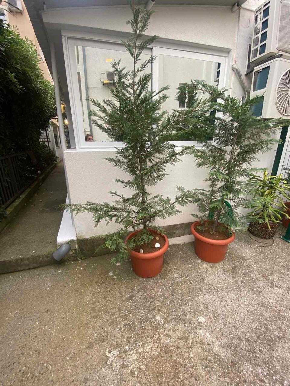 One bedroom apartment for rent Budva 32m2 - 10