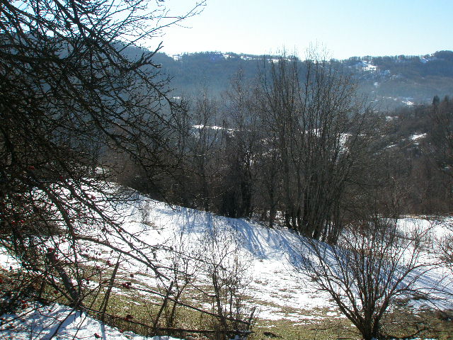 Land for sale Kolasin 100000m2 - 5