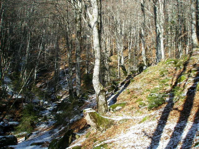 Land for sale Kolasin 100000m2 - 19