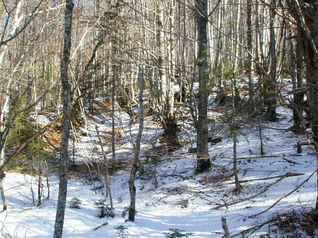 Land for sale Kolasin 100000m2 - 24