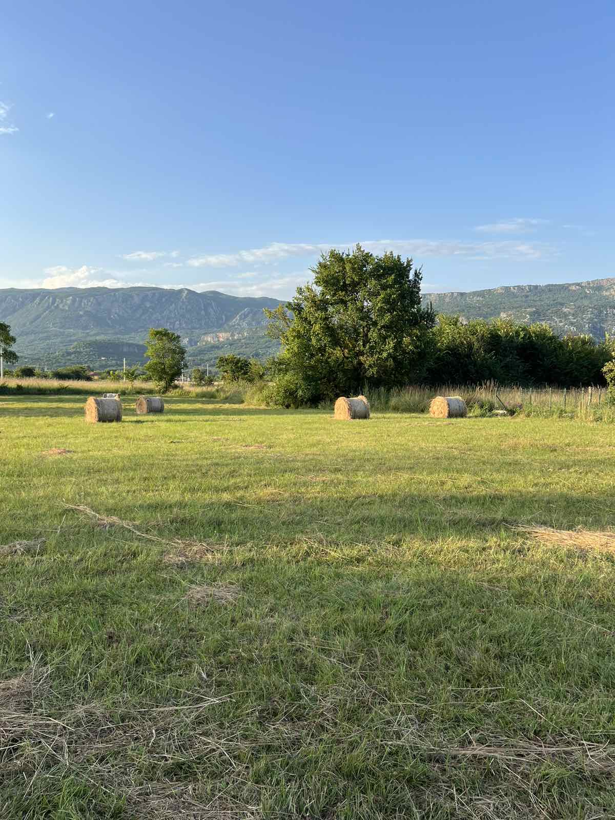Urbanized Land for Sale Spuž 13391m2 - 2